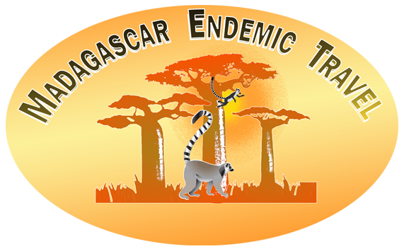 Madagascar Endemic Travel